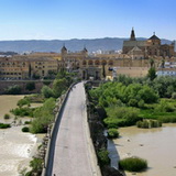 Cordoba