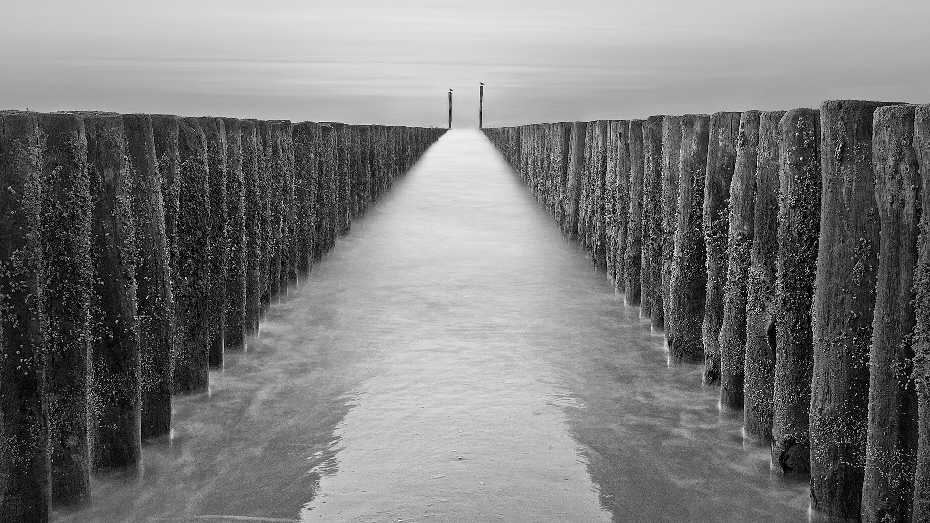Photo Stefan Cruysberghs