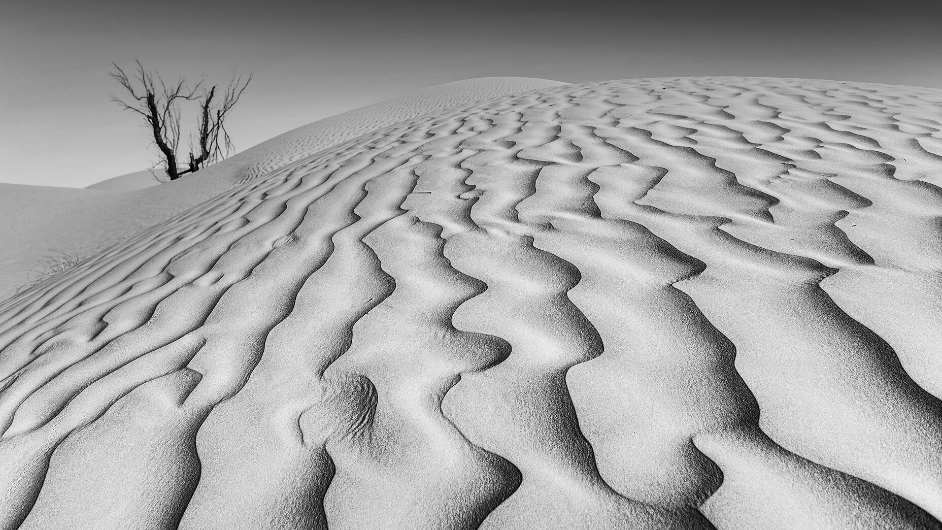 Photo Stefan Cruysberghs