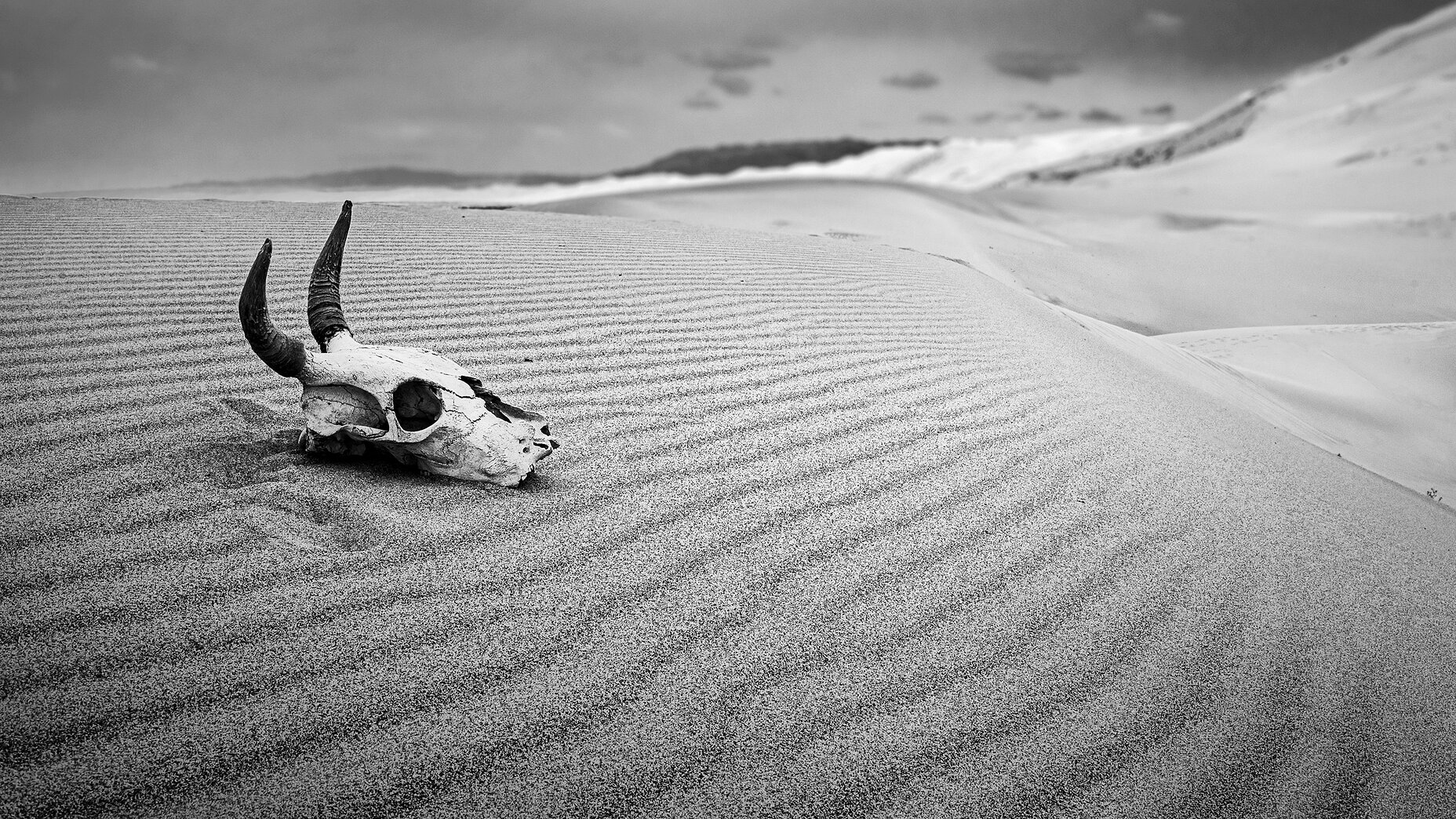Photo Stefan Cruysberghs