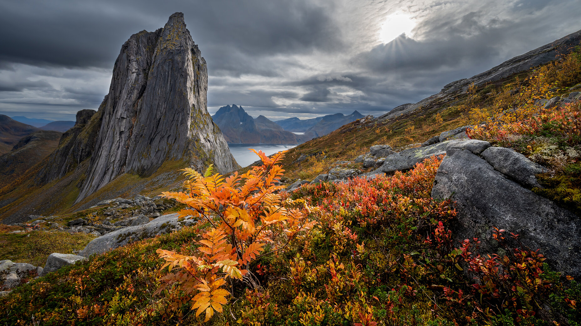 Photo Stefan Cruysberghs