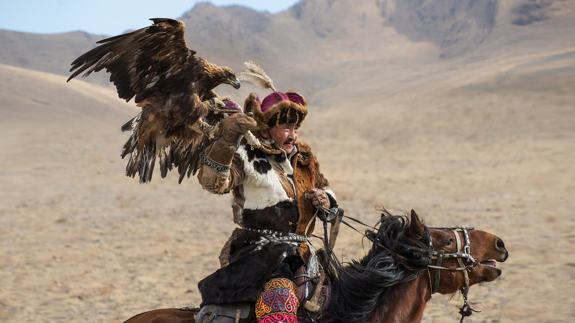Photo Stefan Cruysberghs