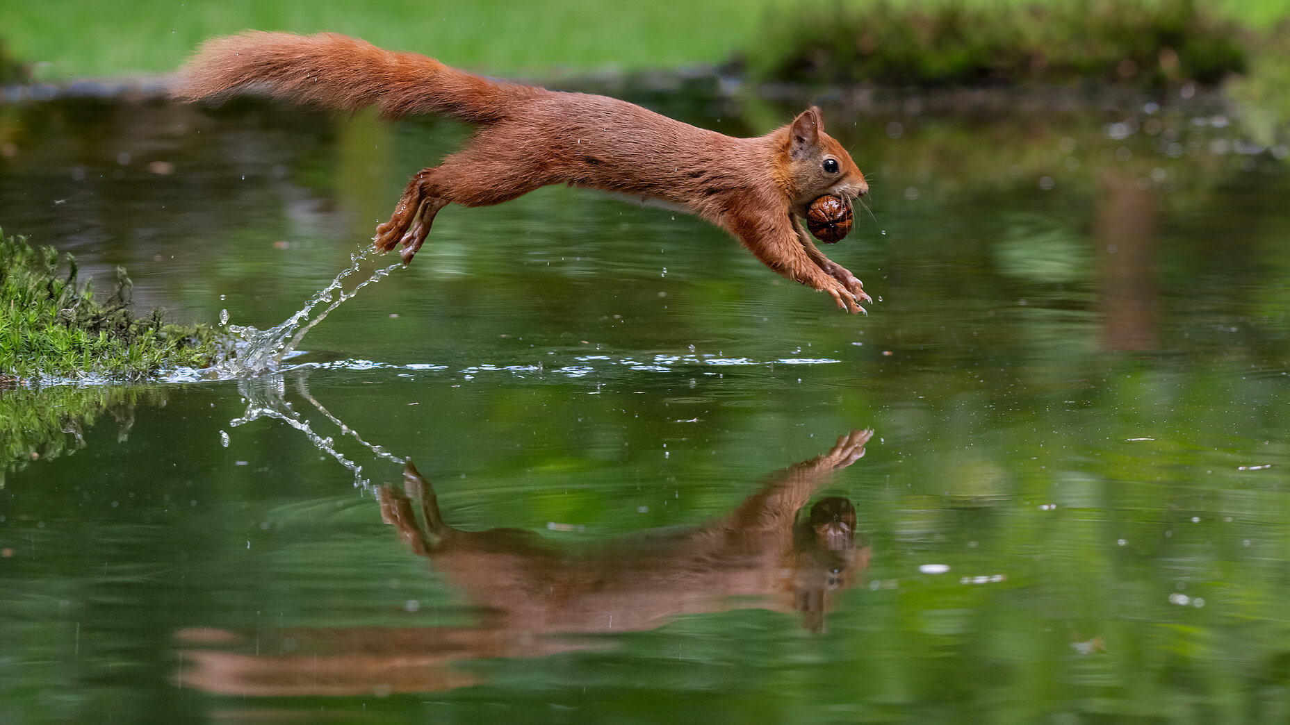 Photo Stefan Cruysberghs