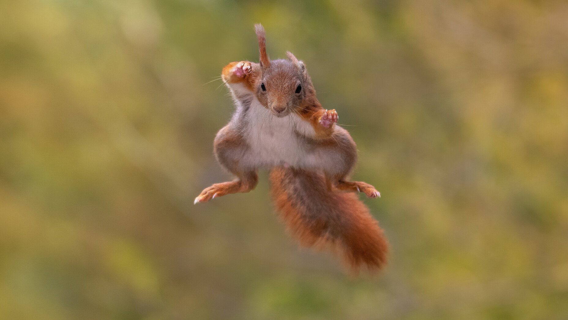 Photo Stefan Cruysberghs