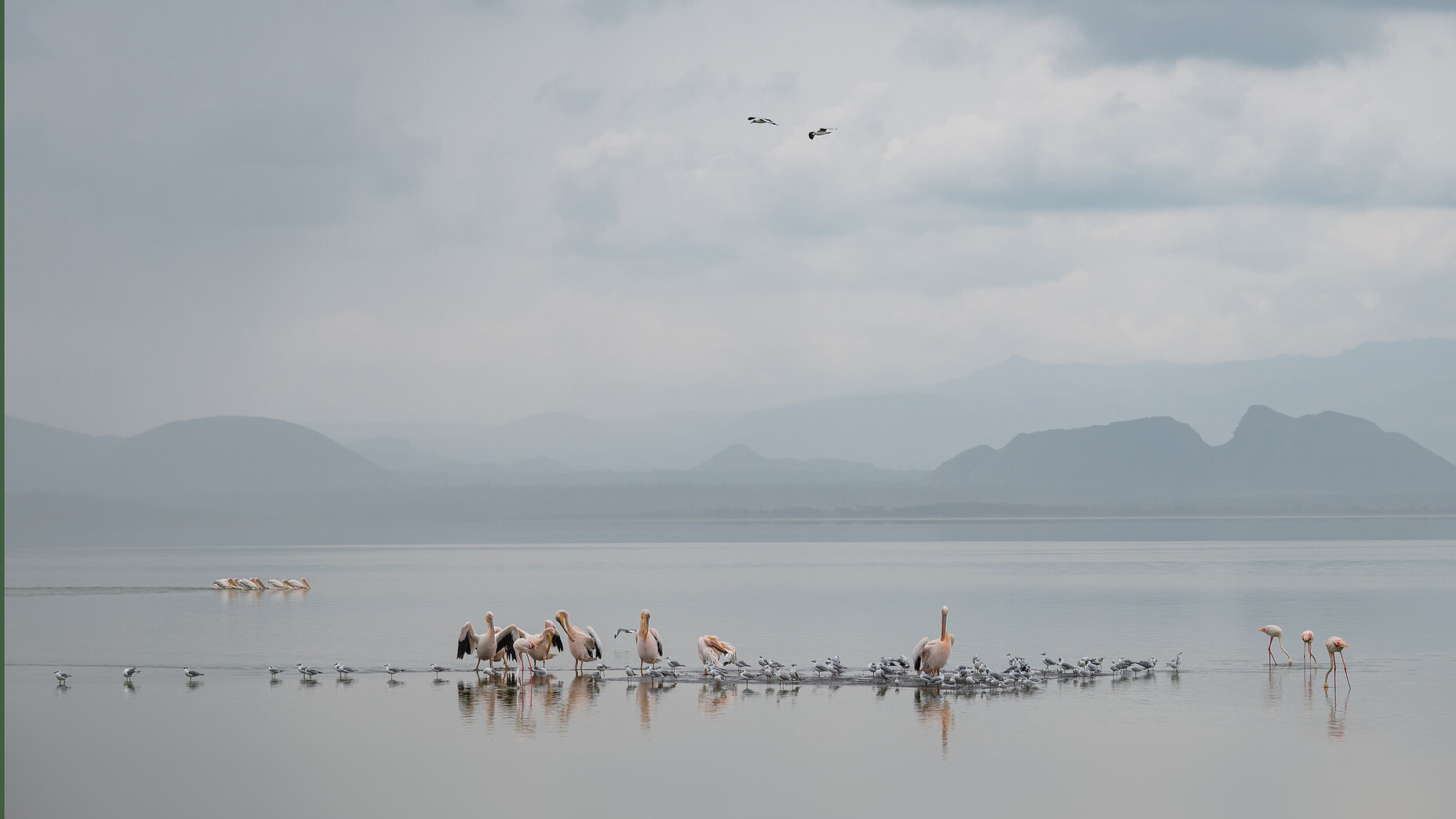 Photo Stefan Cruysberghs